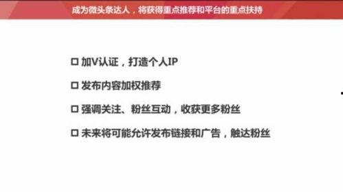 怎样能让头条粉丝变多呢,提升头条粉丝量的实用策略与技巧