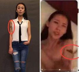 明星不雅视频门,明星不雅视频门事件全解析