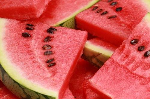 医学大型吃瓜,揭秘背后的真相与争议