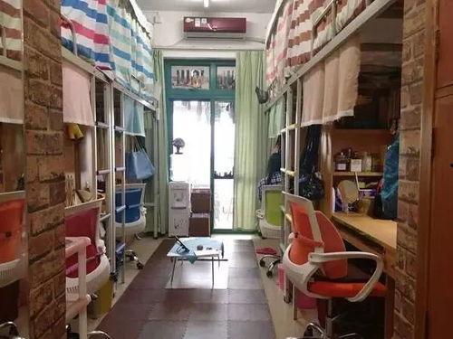 寝室里的微妙磁场网红,网红寝室背后的故事