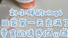 农村小胖vlog微头条,揭秘乡村生活点滴，展现农村新风貌