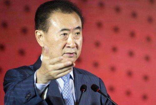 娱乐圈吃瓜王健林小说