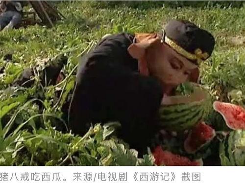 娱乐吃瓜西游记