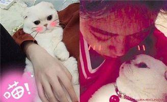 娱乐吃瓜君和刘二豆,揭秘娱乐圈背后的趣味故事